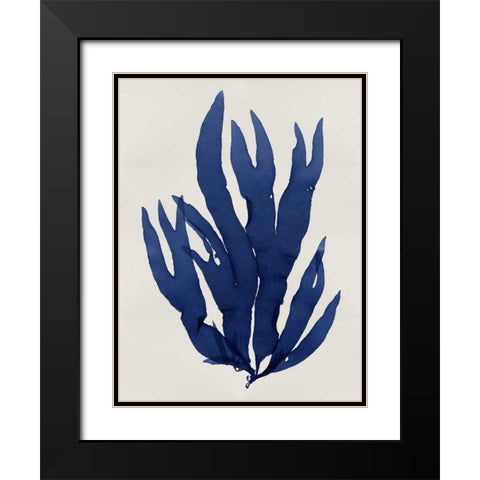 Sea Life - Indigo III Black Modern Wood Framed Art Print with Double Matting by Miller, Melonie