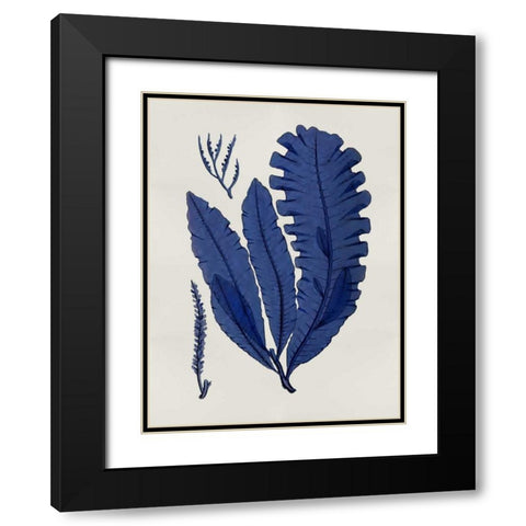 Sea Life - Indigo IV Black Modern Wood Framed Art Print with Double Matting by Miller, Melonie