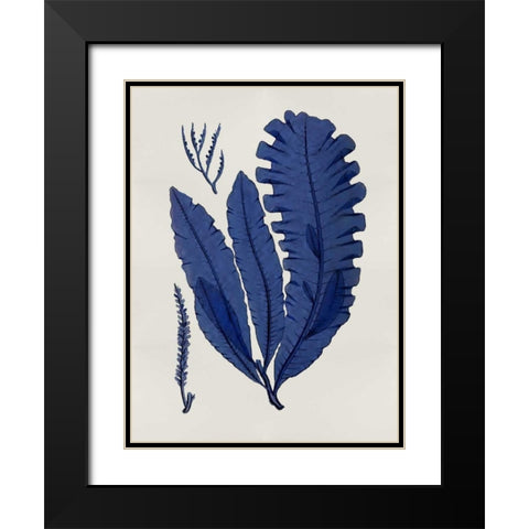 Sea Life - Indigo IV Black Modern Wood Framed Art Print with Double Matting by Miller, Melonie