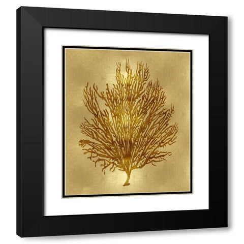 Sea Life - Gold V Black Modern Wood Framed Art Print with Double Matting by Miller, Melonie