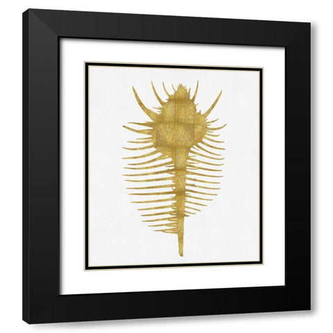 Sea Life - Gold on White VI Black Modern Wood Framed Art Print with Double Matting by Miller, Melonie