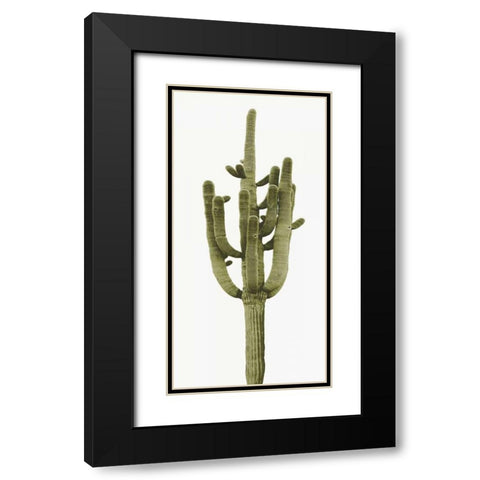 Saguaro II Black Modern Wood Framed Art Print with Double Matting by Jensen, Mia