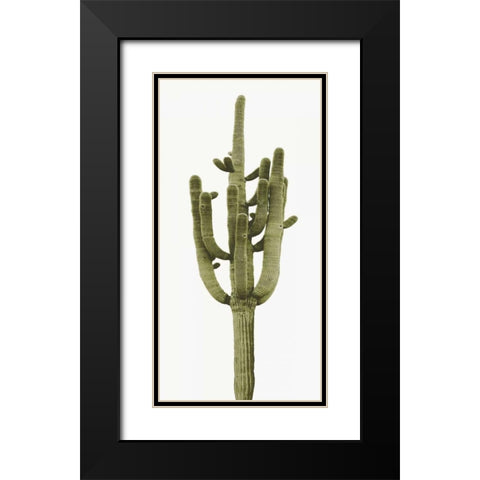 Saguaro II Black Modern Wood Framed Art Print with Double Matting by Jensen, Mia