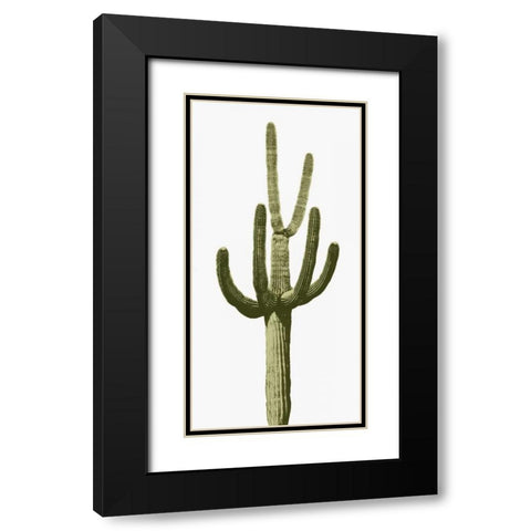 Saguaro III Black Modern Wood Framed Art Print with Double Matting by Jensen, Mia