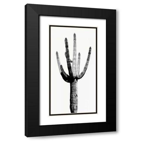Saguaro Black and White I Black Modern Wood Framed Art Print with Double Matting by Jensen, Mia