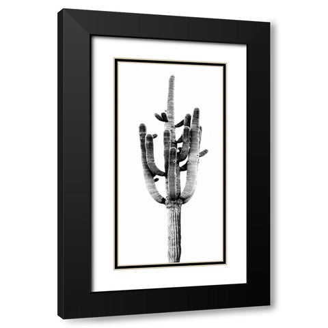 Saguaro Black and White II Black Modern Wood Framed Art Print with Double Matting by Jensen, Mia