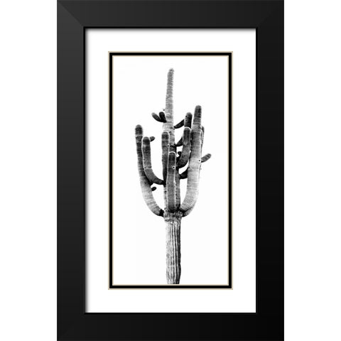 Saguaro Black and White II Black Modern Wood Framed Art Print with Double Matting by Jensen, Mia