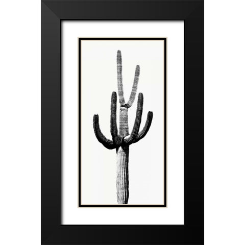 Saguaro Black and White III Black Modern Wood Framed Art Print with Double Matting by Jensen, Mia