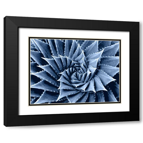 Succulent Indigo I Black Modern Wood Framed Art Print with Double Matting by Jensen, Mia