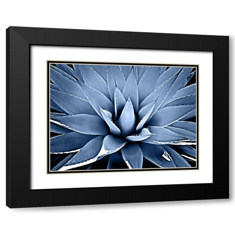Succulent Indigo III Black Modern Wood Framed Art Print with Double Matting by Jensen, Mia