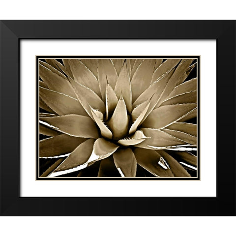 Succulent Taupe III Black Modern Wood Framed Art Print with Double Matting by Jensen, Mia