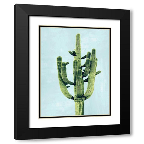 Cactus on Blue II Black Modern Wood Framed Art Print with Double Matting by Jensen, Mia