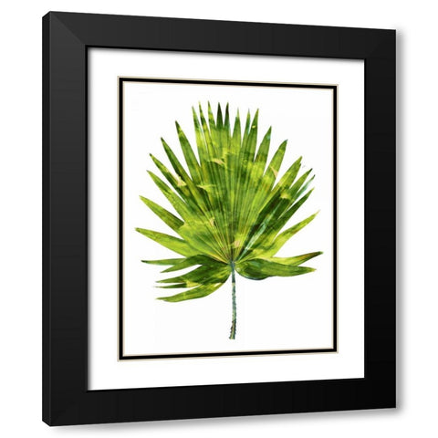 Palm IV Black Modern Wood Framed Art Print with Double Matting by Miller, Melonie