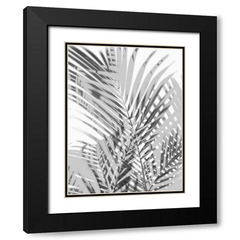 Palm Shadows III Black Modern Wood Framed Art Print with Double Matting by Miller, Melonie