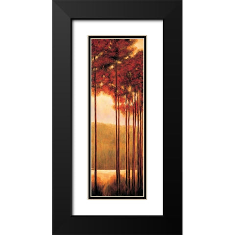 Through the Woods II Black Modern Wood Framed Art Print with Double Matting by Thomas, Neil