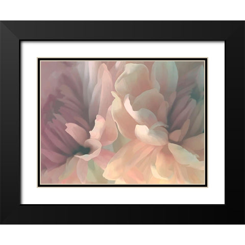 Chrysanthemum II Black Modern Wood Framed Art Print with Double Matting by Pollard, David