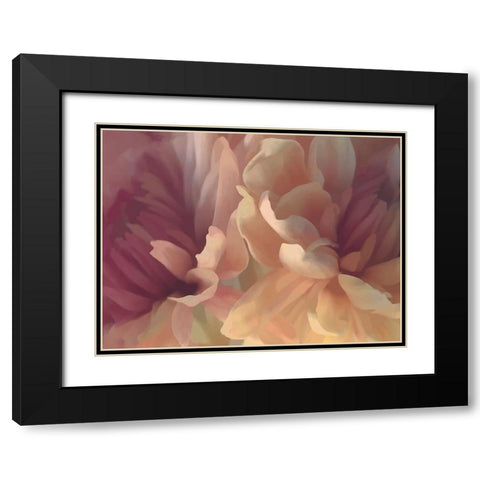 Chrysanthemum IV Black Modern Wood Framed Art Print with Double Matting by Pollard, David