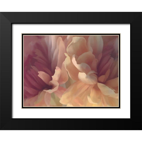 Chrysanthemum IV Black Modern Wood Framed Art Print with Double Matting by Pollard, David