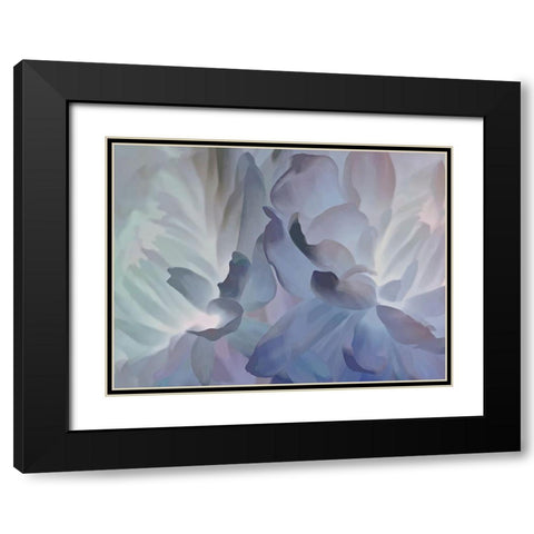 Chrysanthemum VI Black Modern Wood Framed Art Print with Double Matting by Pollard, David