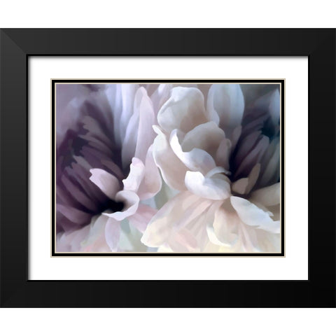 Chrysanthemum X Black Modern Wood Framed Art Print with Double Matting by Pollard, David