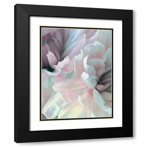 Chrysanthemum XII Black Modern Wood Framed Art Print with Double Matting by Pollard, David