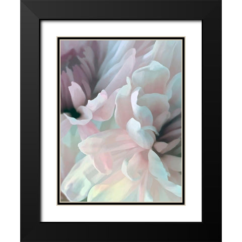 Chrysanthemum XII Black Modern Wood Framed Art Print with Double Matting by Pollard, David