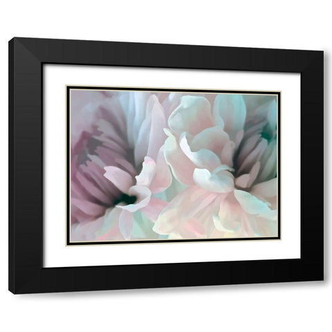 Chrysanthemum XIII Black Modern Wood Framed Art Print with Double Matting by Pollard, David