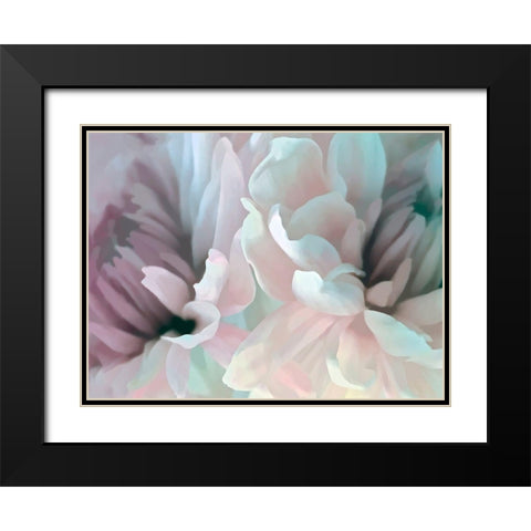 Chrysanthemum XIII Black Modern Wood Framed Art Print with Double Matting by Pollard, David