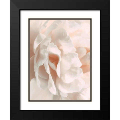 Peony Pale Sepia II Black Modern Wood Framed Art Print with Double Matting by Pollard, David