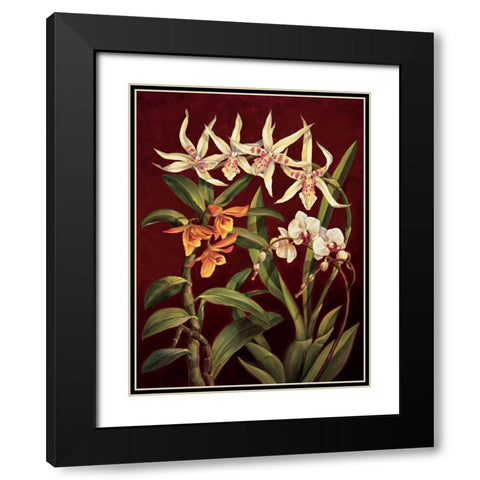 Orchid Trio I Black Modern Wood Framed Art Print with Double Matting by Jimenez, Rodolfo