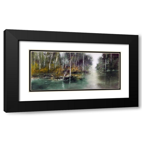 Birch Trees Black Modern Wood Framed Art Print with Double Matting by Di Scenza, Ron