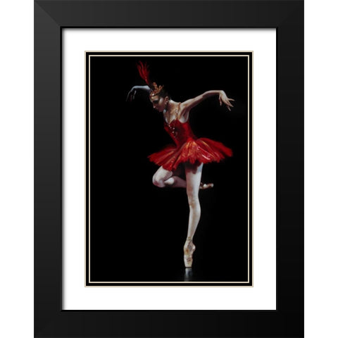 Flamingo Dancer Black Modern Wood Framed Art Print with Double Matting by Di Scenza, Ron