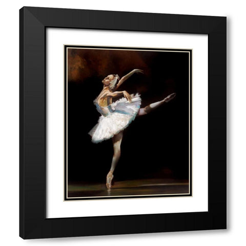 Swan Lake Black Modern Wood Framed Art Print with Double Matting by Di Scenza, Ron