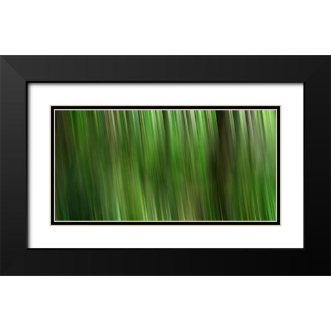 Tree motion Black Modern Wood Framed Art Print with Double Matting by Plank, Savanah