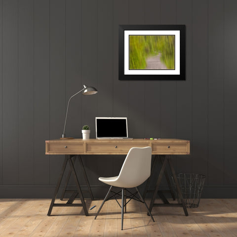North America, Canada, Queen C Black Modern Wood Framed Art Print with Double Matting by Plank, Savanah