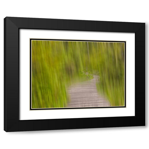 North America, Canada, Queen C Black Modern Wood Framed Art Print with Double Matting by Plank, Savanah