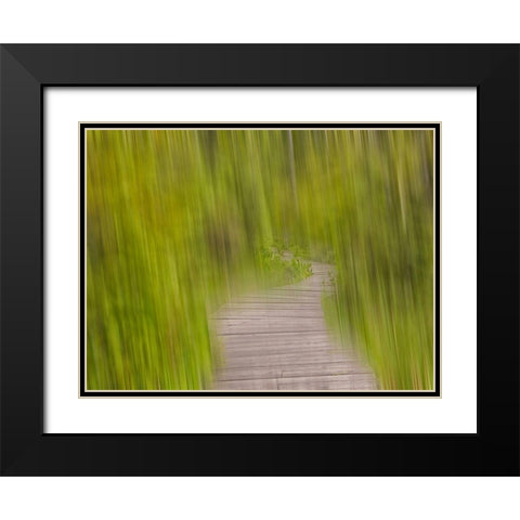 North America, Canada, Queen C Black Modern Wood Framed Art Print with Double Matting by Plank, Savanah