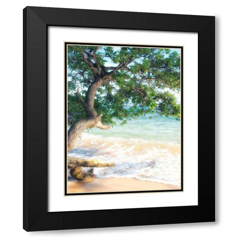 USA, Hawaii, Kauai Black Modern Wood Framed Art Print with Double Matting by Plank, Savanah