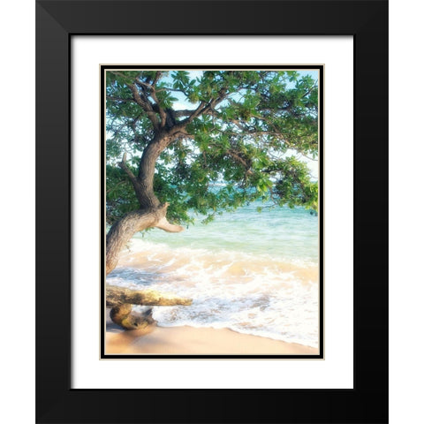 USA, Hawaii, Kauai Black Modern Wood Framed Art Print with Double Matting by Plank, Savanah