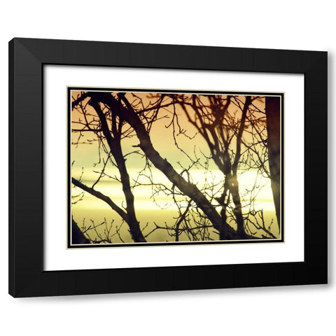 Aspen Sunset Black Modern Wood Framed Art Print with Double Matting by Plank, Savanah