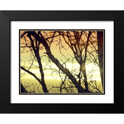 Aspen Sunset Black Modern Wood Framed Art Print with Double Matting by Plank, Savanah