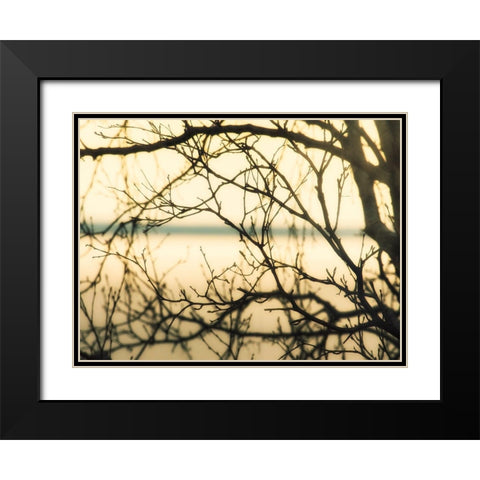Aspen Sunset Black Modern Wood Framed Art Print with Double Matting by Plank, Savanah