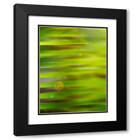 Abstract green flora Black Modern Wood Framed Art Print with Double Matting by Plank, Savanah