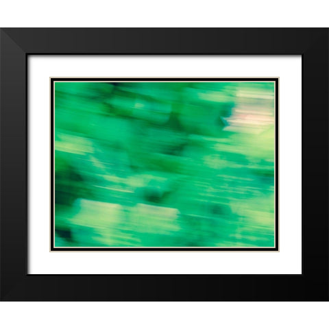 Flora Motion Black Modern Wood Framed Art Print with Double Matting by Plank, Savanah