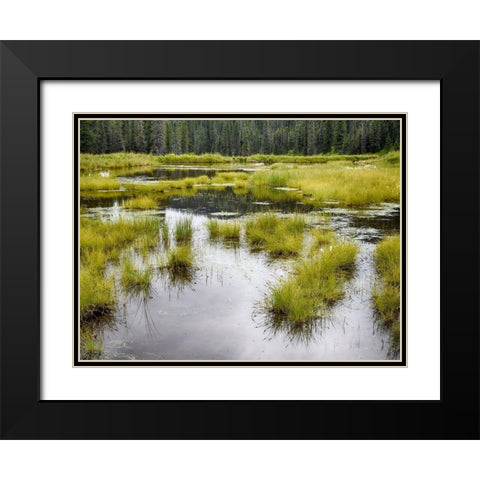 Hatchers Pass creek marsh Black Modern Wood Framed Art Print with Double Matting by Plank, Savanah