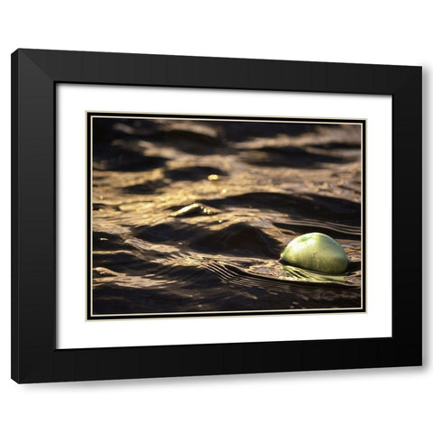 USA, Southeast Alaska, Ketchik Black Modern Wood Framed Art Print with Double Matting by Plank, Savanah