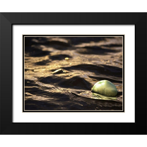 USA, Southeast Alaska, Ketchik Black Modern Wood Framed Art Print with Double Matting by Plank, Savanah