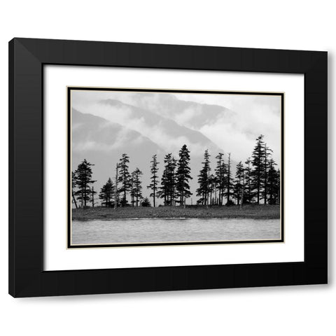 Pines Black Modern Wood Framed Art Print with Double Matting by Plank, Savanah