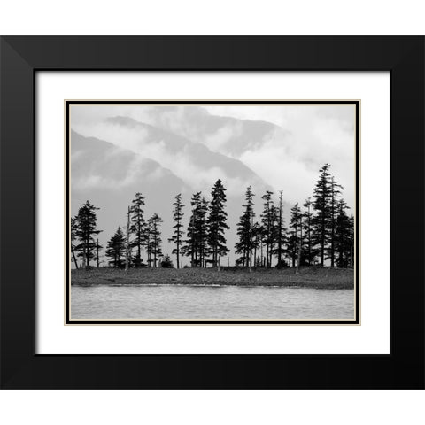 Pines Black Modern Wood Framed Art Print with Double Matting by Plank, Savanah