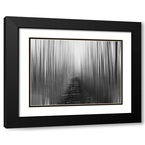 Path Black Modern Wood Framed Art Print with Double Matting by Plank, Savanah